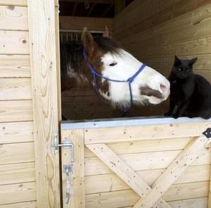 Meet your Posher, Michael